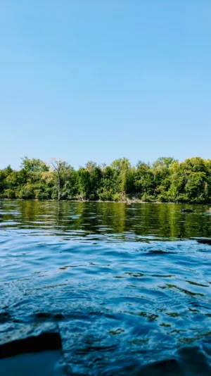 Calm Lake With Forest Reflection