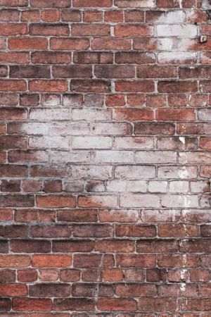 Old Brick Wall