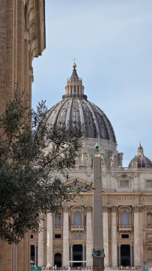 St. Peter'S Basilica