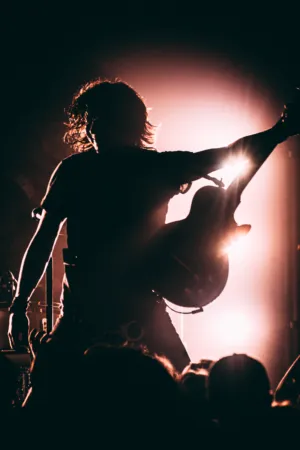 Rock Concert Silhouette