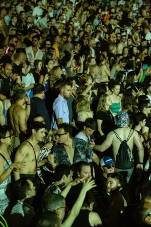 Crowd At A Festival