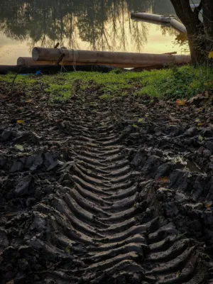 Muddy Path