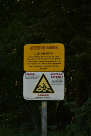 Warning Sign In Forest