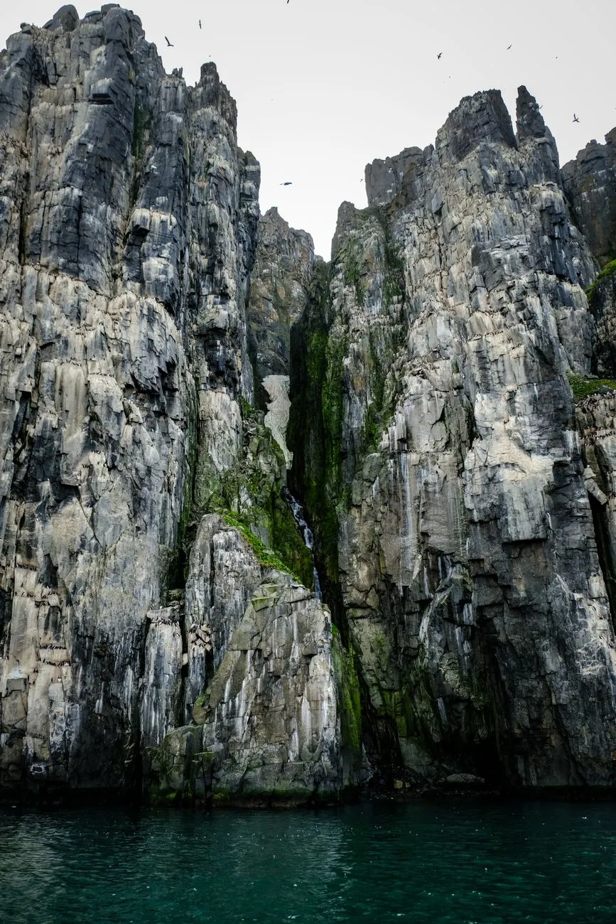 Rugged Coastal Cliffs