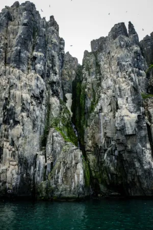 Rugged Coastal Cliffs