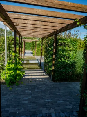 Wooden Pathway In Garden