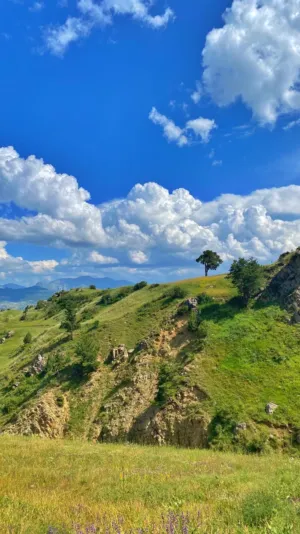 Mountain Landscape