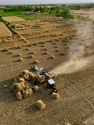 Aerial View Of A Harvesting Field