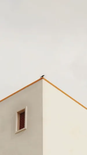 Minimalist Architecture
