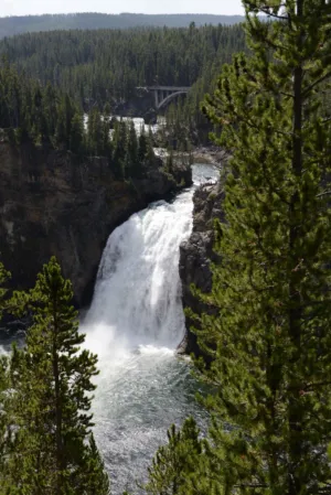 Yellowstone Waterfall