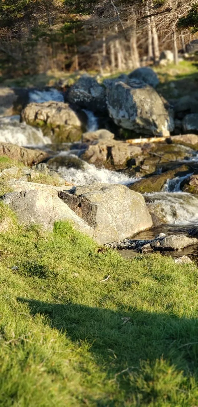 Rustic Stream