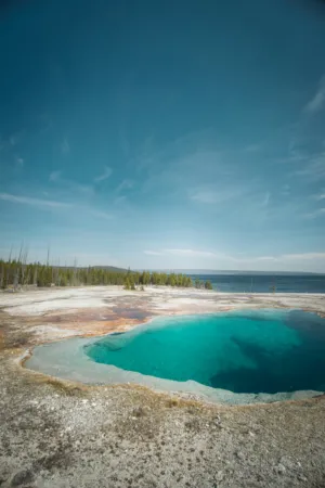 Yellowstone Geyser