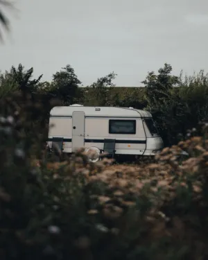 Camper In The Wild