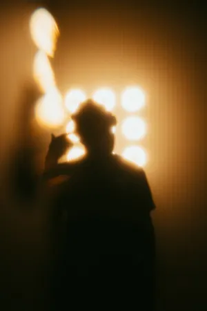 Silhouette In Light