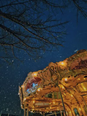Winter Wonderland Carousel