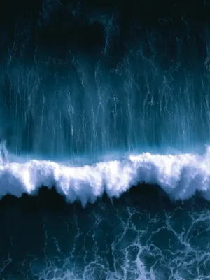Ocean Wave