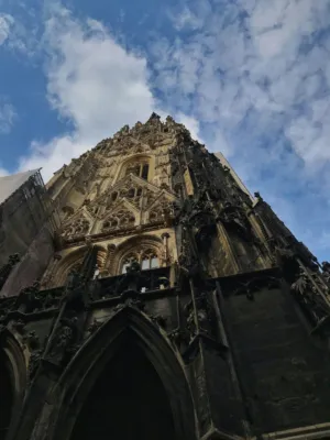 Gothic Cathedral