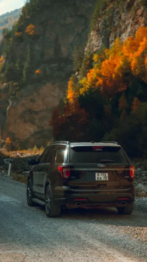 Autumn Drive