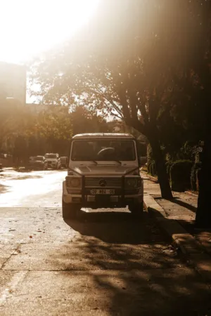 Sunlit Urban Street
