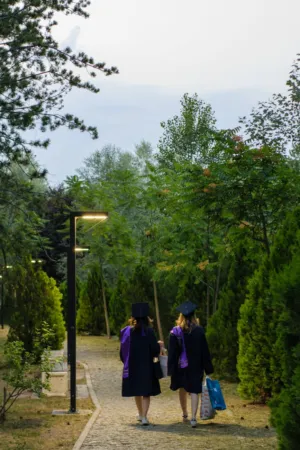 Graduates In The Park