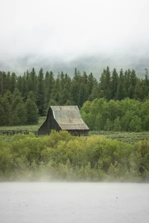 Rustic Barn In The Mist