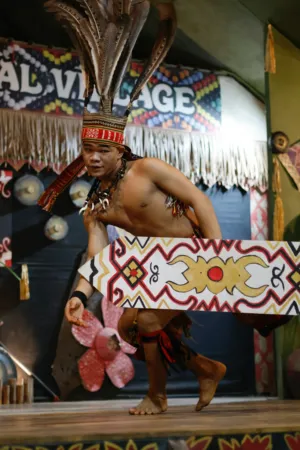 Traditional Dancer