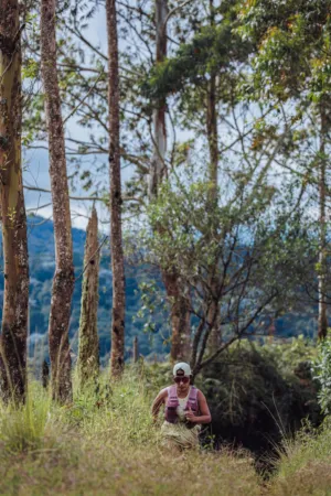 Forest Hiker