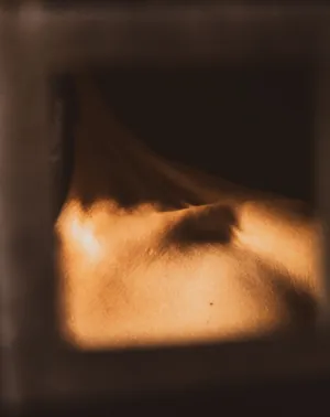 Sunlit Torso