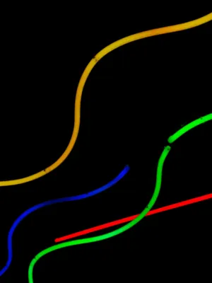 Colorful Neon Lights