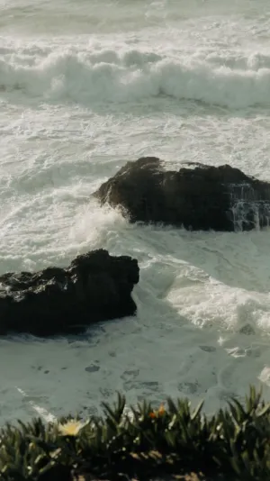 Rocky Coastline