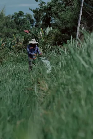 Farmer In The Field