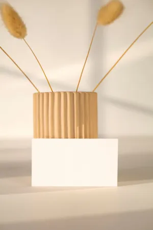 Minimalist Vase With Dried Flowers