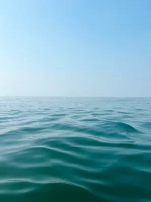 Calm Ocean