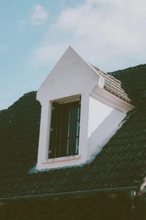 Roof Window