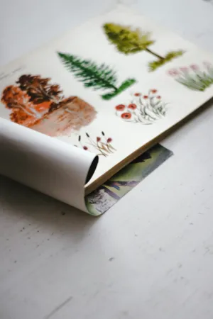 Nature Sketchbook