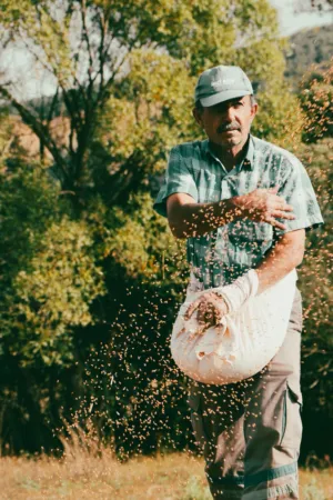 Beekeeper