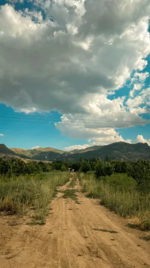 Dirt Road In The Countryside