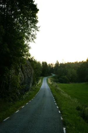 Winding Country Road