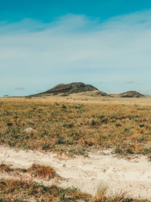 Desert Landscape