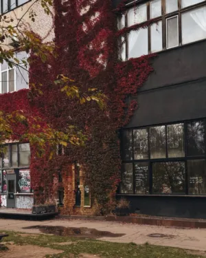 Autumnal Urban Facade