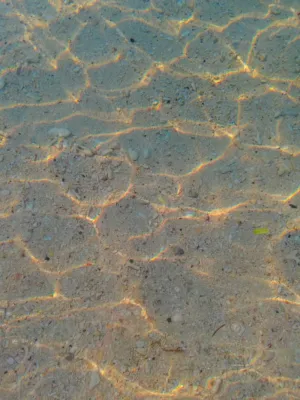 Underwater Sand Texture