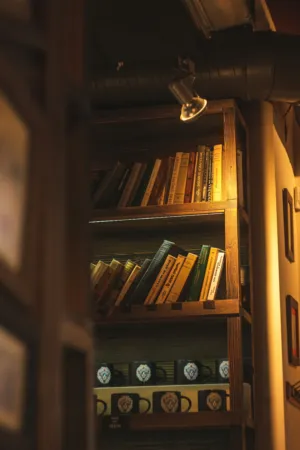 Cozy Bookshelf