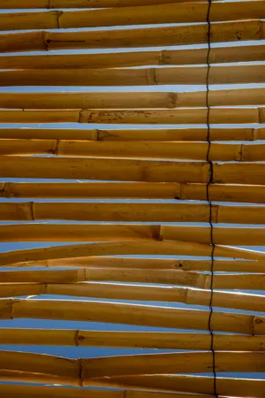 Bamboo Structure