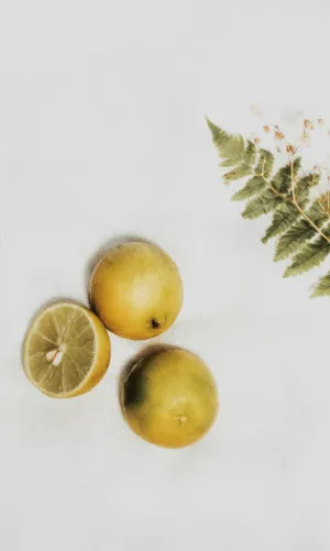 Lemons And Ferns