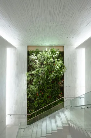 Modern Living Wall