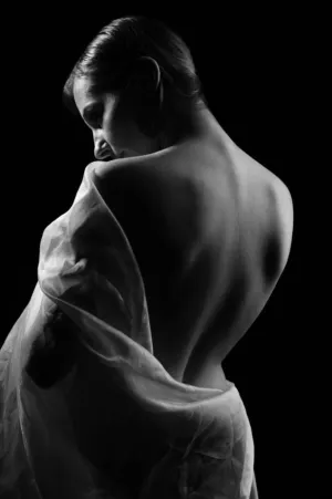 Nude With Sheer Fabric