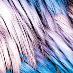 Abstract Art