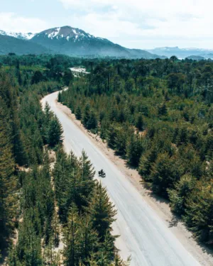 Forest Road