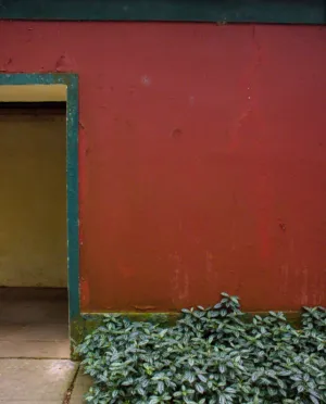 Red Wall With Green Plants