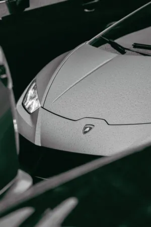 Lamborghini Hood